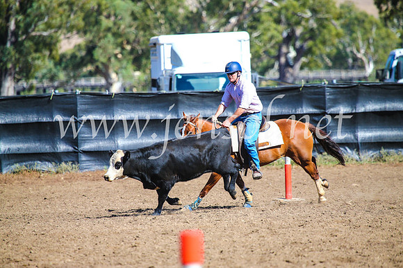 GundagaiCampdraft2017_0737