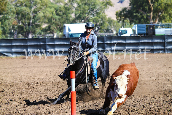 GundagaiCampdraft2017_0726