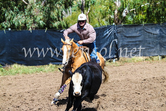 GundagaiCampdraft2017_0838