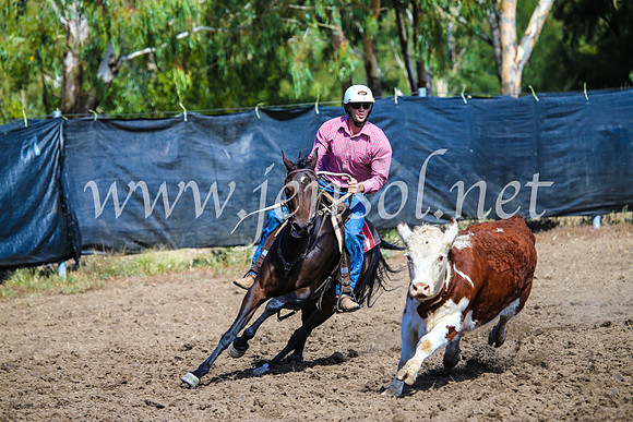 GundagaiCampdraft2017_0893