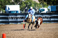 GundagaiCampdraft2017_0649