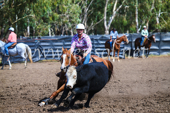 GundagaiCampdraft2017_0914