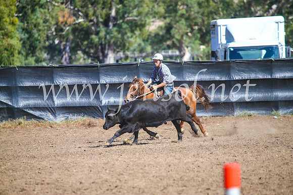 GundagaiCampdraft2017_0704