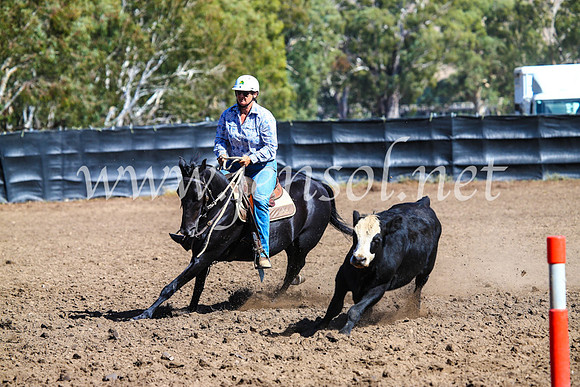 GundagaiCampdraft2017_0778