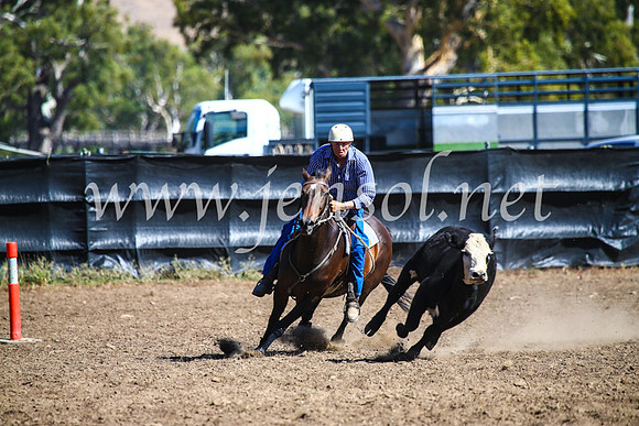 GundagaiCampdraft2017_0815