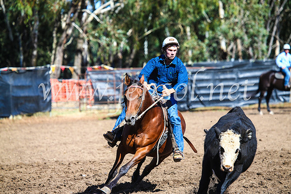 GundagaiCampdraft2017_0741