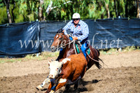 GundagaiCampdraft2017_0651