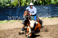 GundagaiCampdraft2017_0654