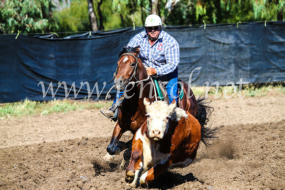GundagaiCampdraft2017_0654