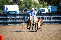 GundagaiCampdraft2017_0646