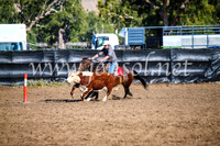 GundagaiCampdraft2017_0584