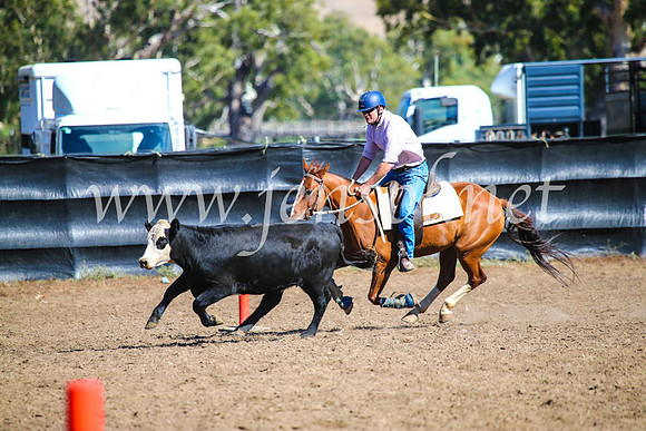 GundagaiCampdraft2017_0733