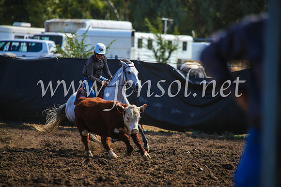 GundagaiCampdraft2017_0933