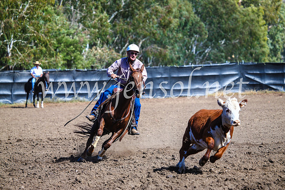 GundagaiCampdraft2017_0859