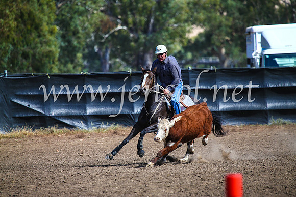 GundagaiCampdraft2017_0884
