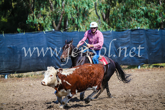 GundagaiCampdraft2017_0900