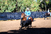 GundagaiCampdraft2017_0557
