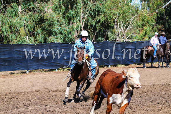 GundagaiCampdraft2017_0690