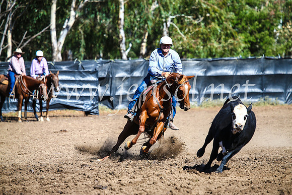 GundagaiCampdraft2017_0718