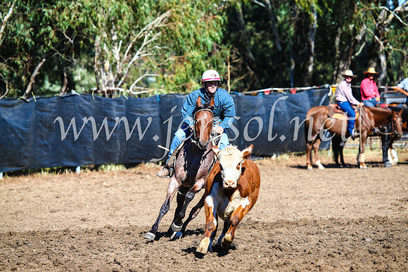 GundagaiCampdraft2017_0675