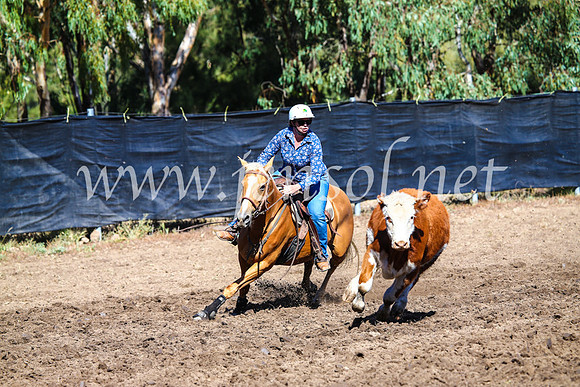 GundagaiCampdraft2017_0715