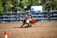 GundagaiCampdraft2017_0596