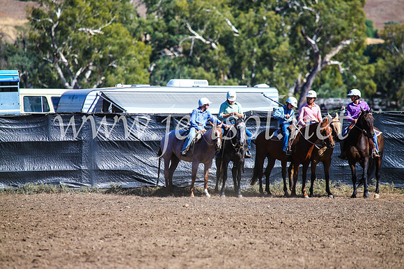 GundagaiCampdraft2017_0747