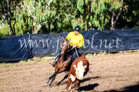 GundagaiCampdraft2017_0603