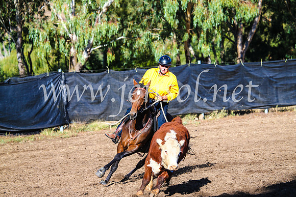 GundagaiCampdraft2017_0603
