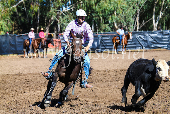 GundagaiCampdraft2017_0681