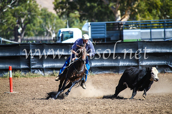 GundagaiCampdraft2017_0816