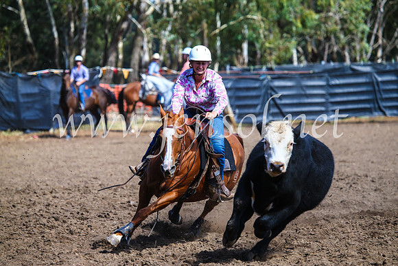 GundagaiCampdraft2017_0913