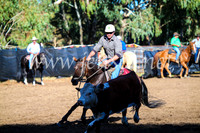 GundagaiCampdraft2017_0573