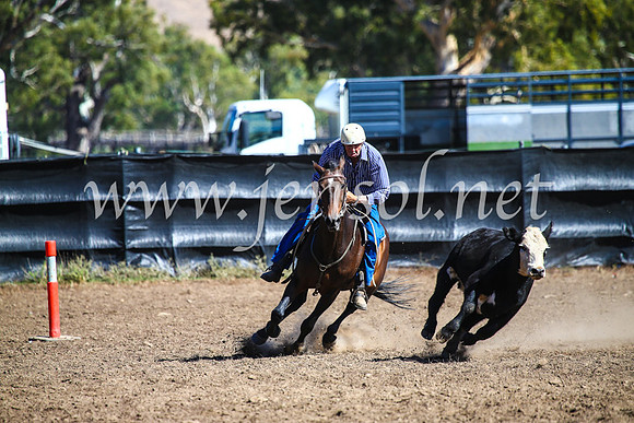 GundagaiCampdraft2017_0817