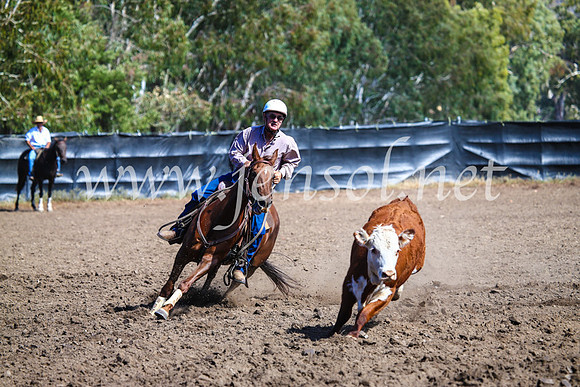 GundagaiCampdraft2017_0858