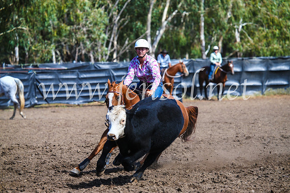 GundagaiCampdraft2017_0918