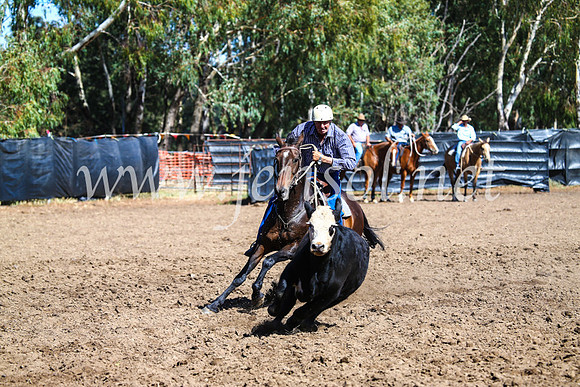 GundagaiCampdraft2017_0809