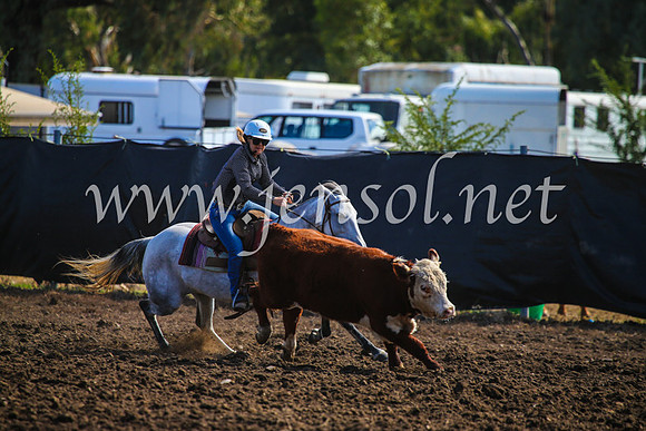 GundagaiCampdraft2017_0930