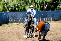 GundagaiCampdraft2017_0622