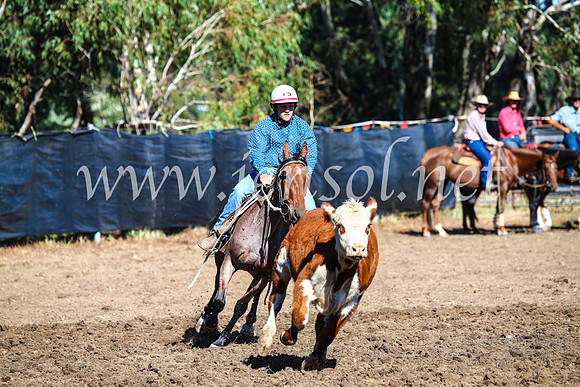 GundagaiCampdraft2017_0672
