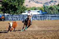 GundagaiCampdraft2017_0615