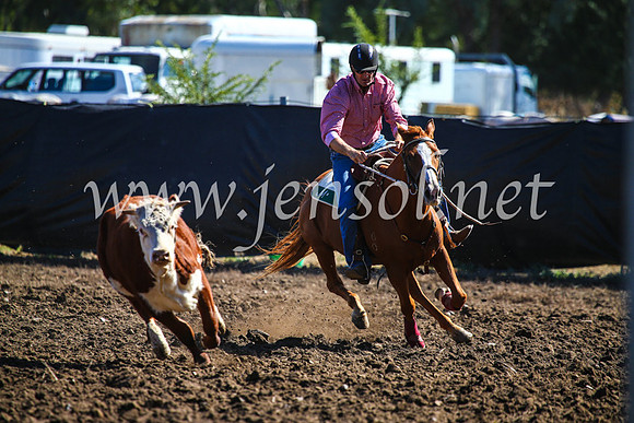 GundagaiCampdraft2017_0829