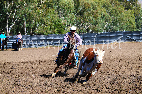 GundagaiCampdraft2017_0692