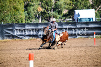 GundagaiCampdraft2017_0595