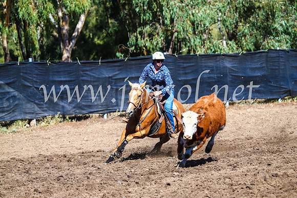 GundagaiCampdraft2017_0712