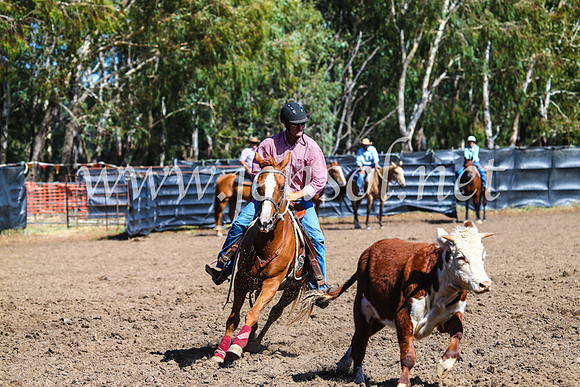 GundagaiCampdraft2017_0828