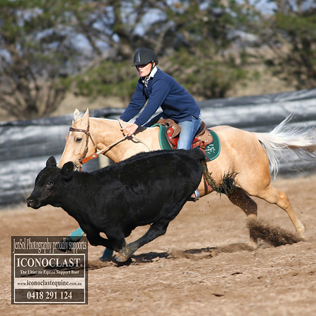 GoulburnCampdraft2018_2342