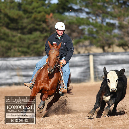 GoulburnCampdraft2018_2141