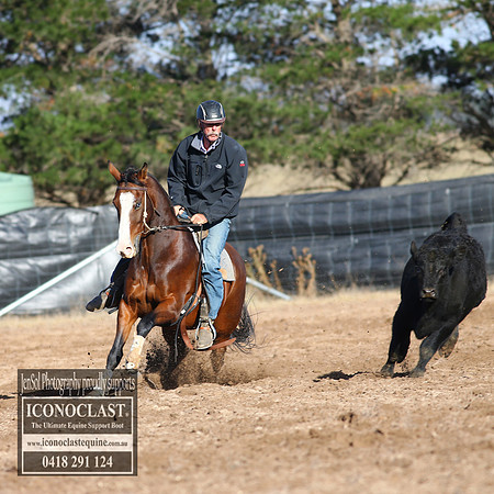 GoulburnCampdraft2018_2322