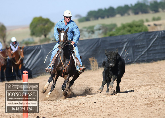 GoulburnCampdraft2018_2570